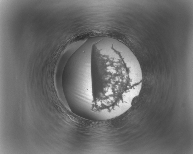 X0000058780817200510171250