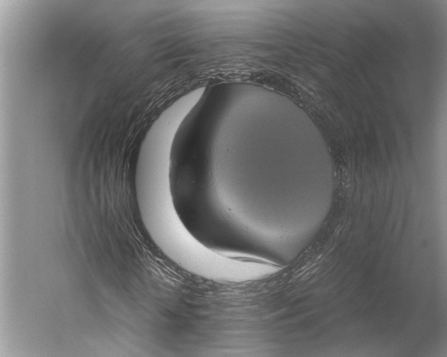 X0000058780818200510171250