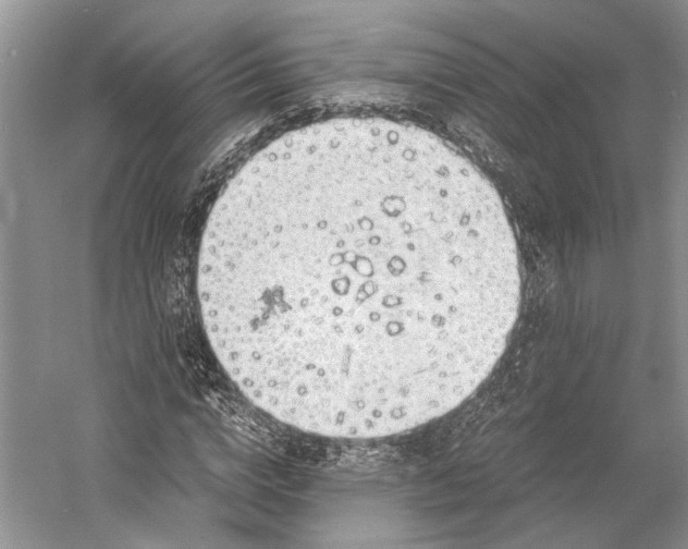 X0000058780824200510171251