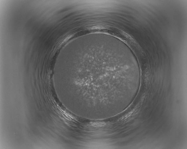 X0000058780825200510171251