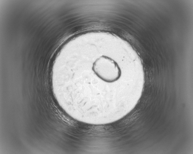 X0000058780828200510171251