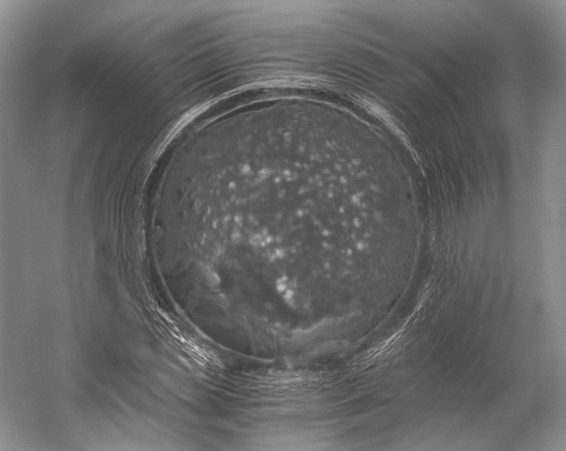 X0000058780829200510171251