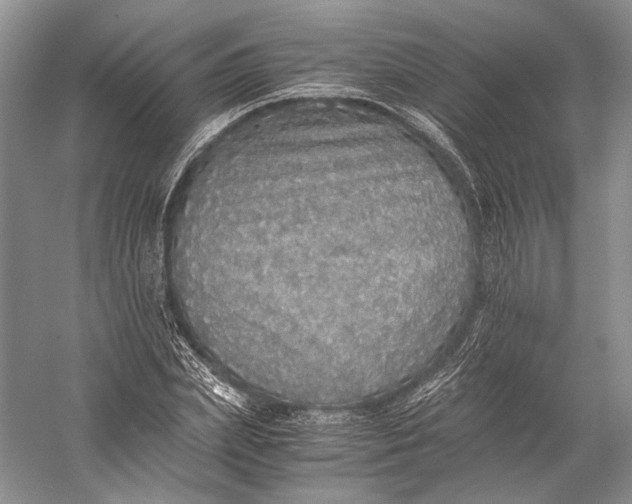 X0000058780831200510171251