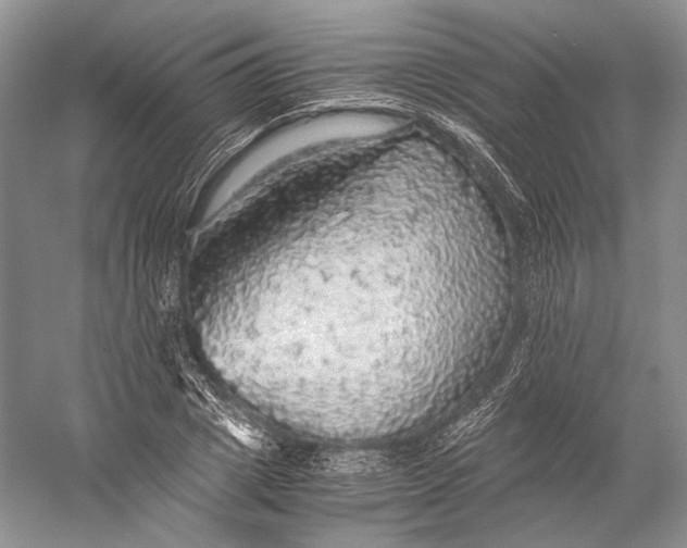 X0000058780833200510171251