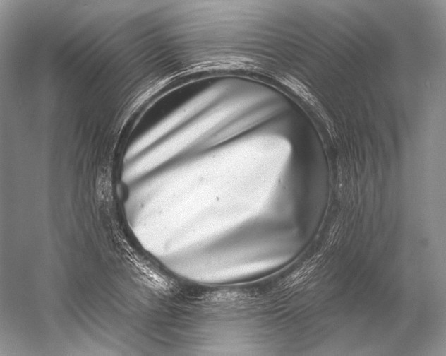 X0000058780834200510171251