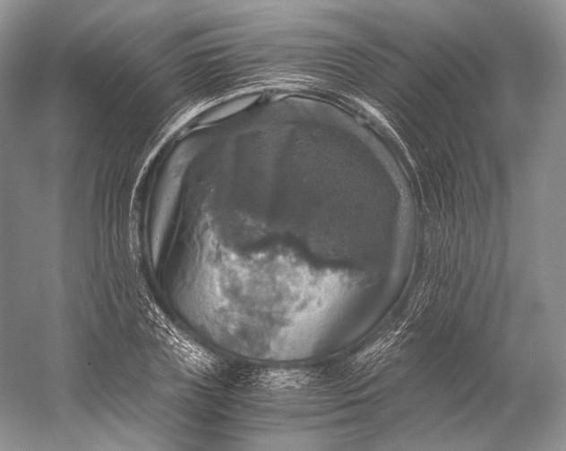 X0000058780835200510171251