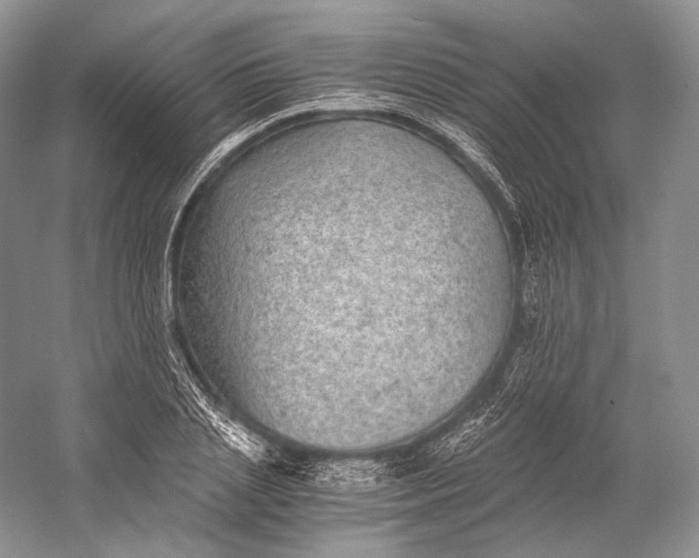 X0000058780837200510171251