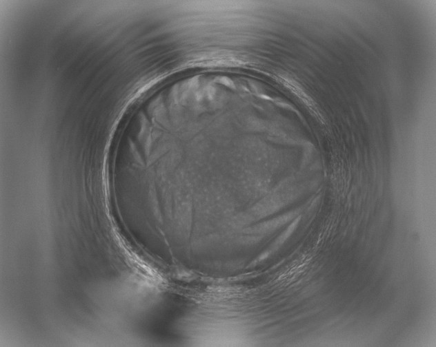 X0000058780840200510171251