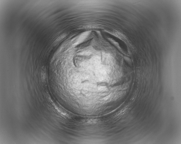 X0000058780841200510171251