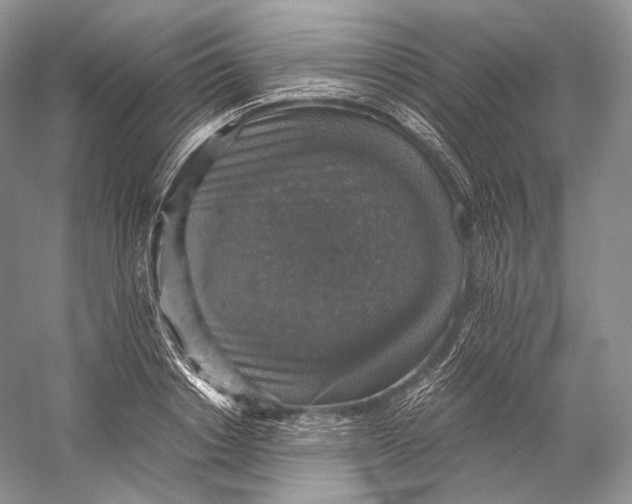 X0000058780842200510171251