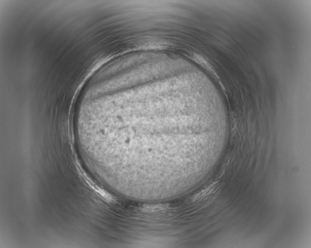 X0000058780843200510171251