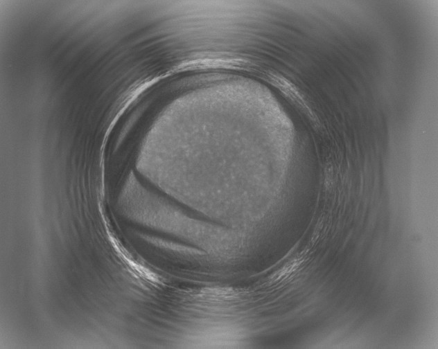 X0000058780844200510171251