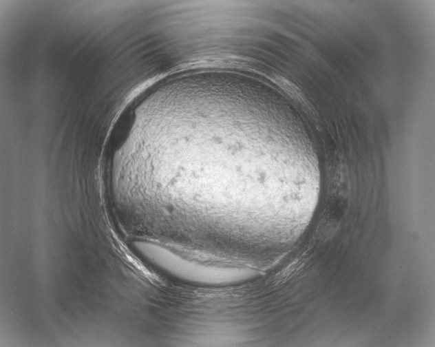 X0000058780846200510171251