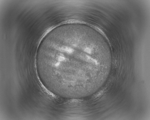 X0000058780847200510171251