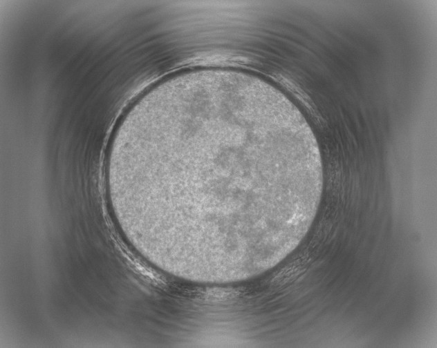 X0000058780848200510171251