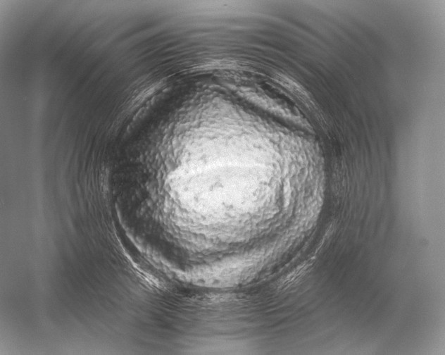 X0000058780849200510171251