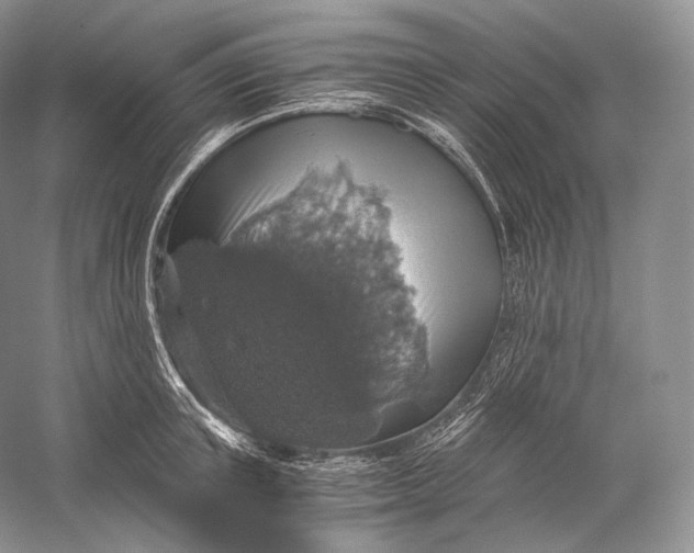 X0000058780851200510171251