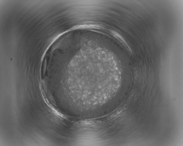 X0000058780852200510171251