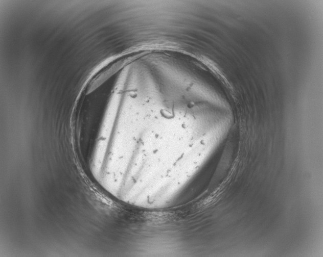 X0000058780854200510171251