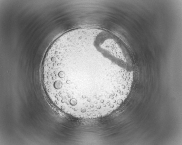 X0000058780856200510171251