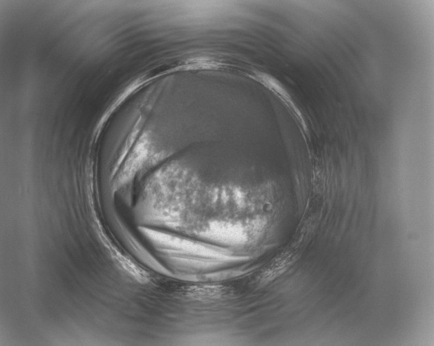 X0000058780859200510171251