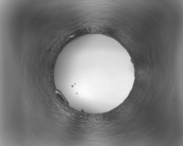 X0000058780865200510171250