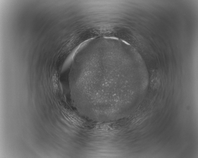 X0000058780866200510171250