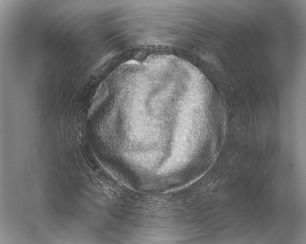 X0000058780870200510171250