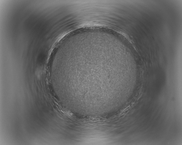 X0000058780871200510171250