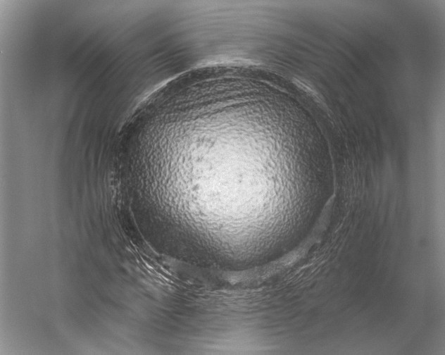 X0000058780872200510171250