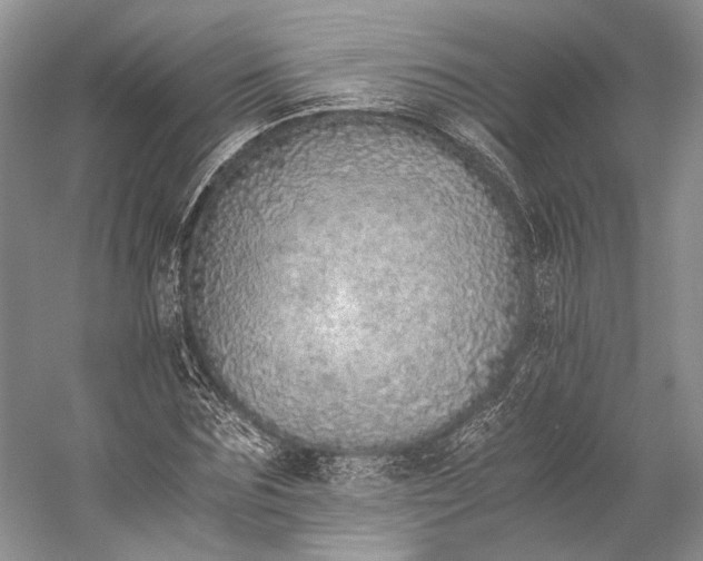 X0000058780875200510171250