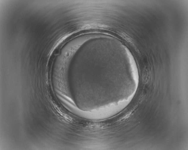 X0000058780877200510171250