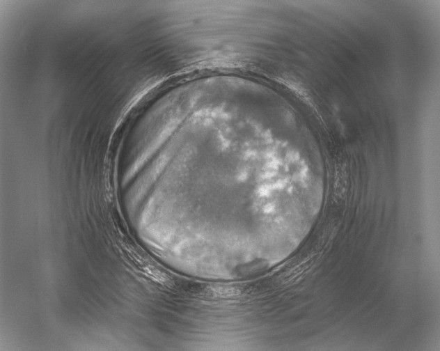 X0000058780878200510171250