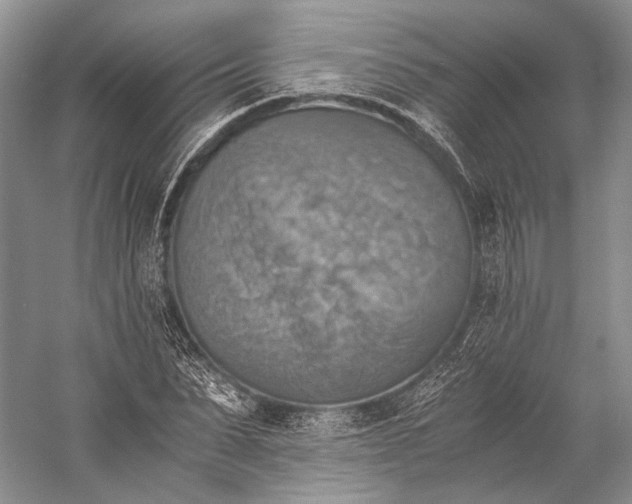 X0000058780879200510171250