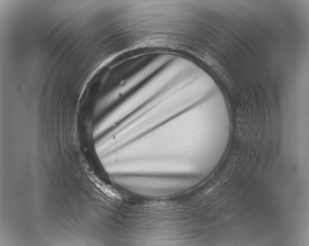 X0000058780880200510171250