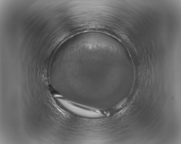 X0000058780881200510171250