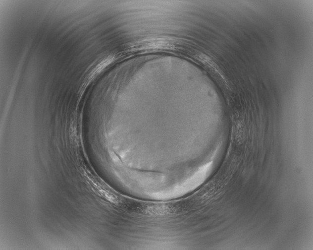 X0000058780882200510171250