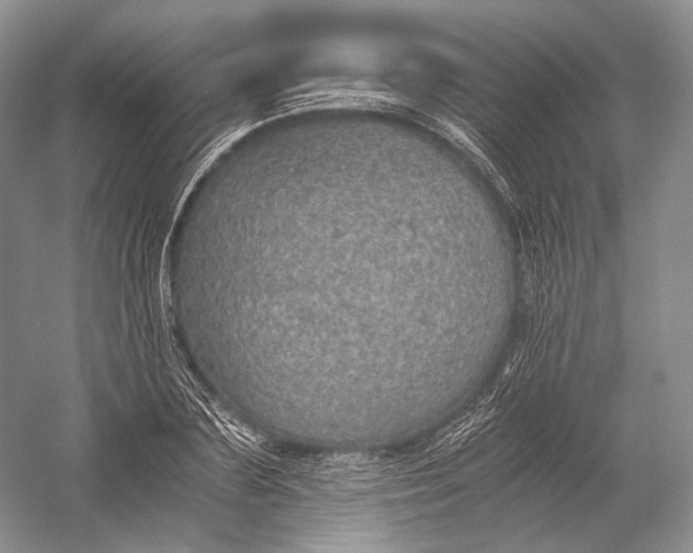 X0000058780883200510171250