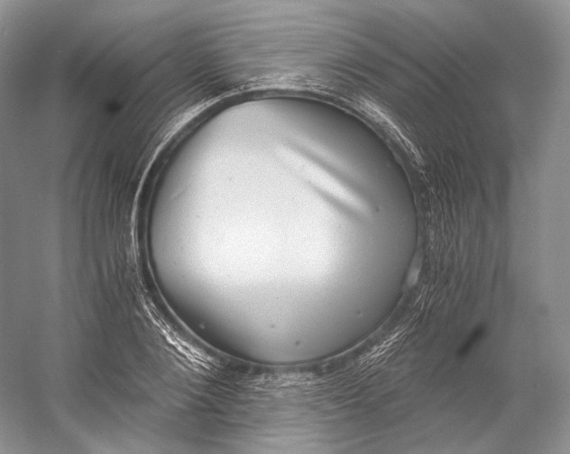 X0000058780884200510171250