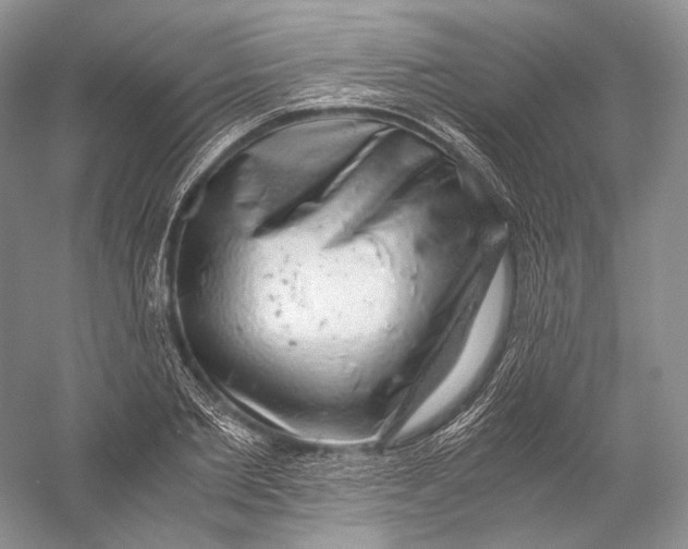 X0000058780885200510171250