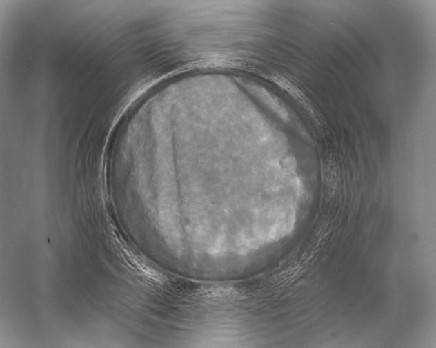 X0000058780886200510171250