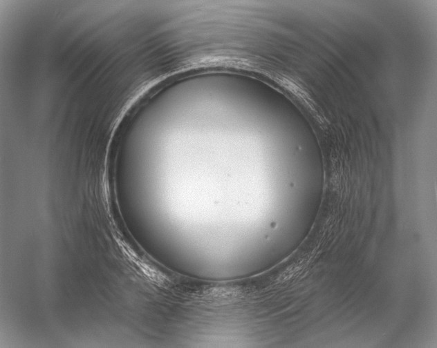 X0000058780888200510171250