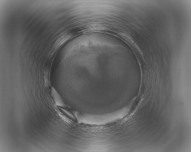 X0000058780889200510171250