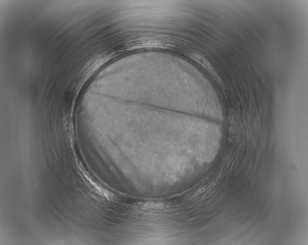 X0000058780890200510171250