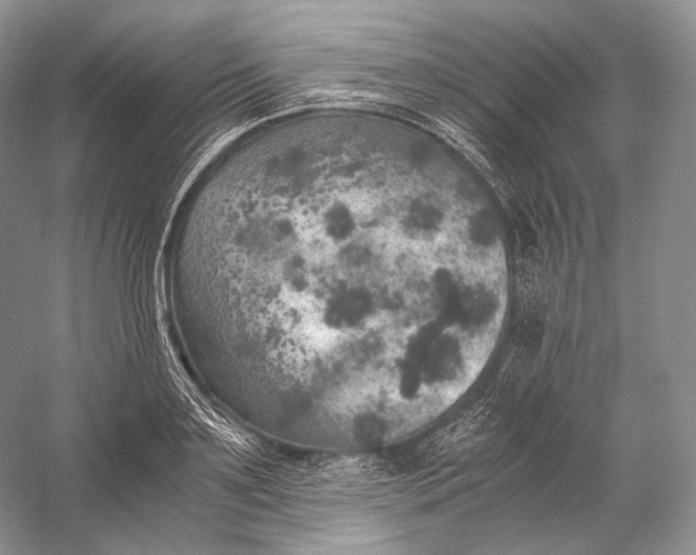 X0000058780891200510171250