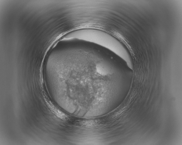 X0000058780892200510171250