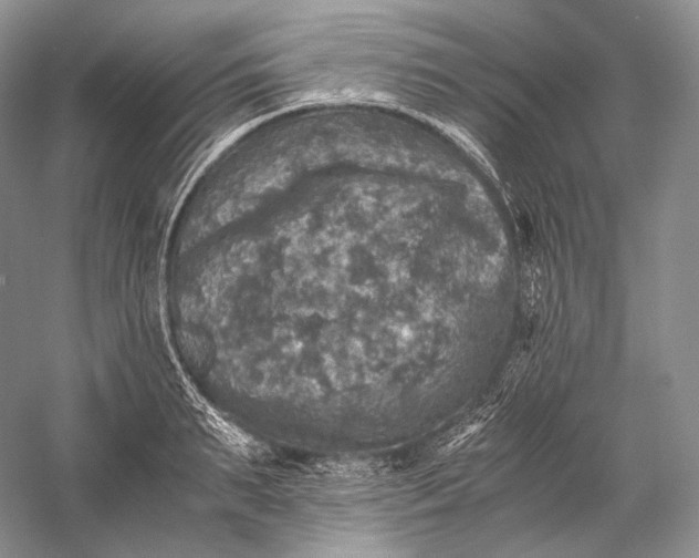 X0000058780895200510171250