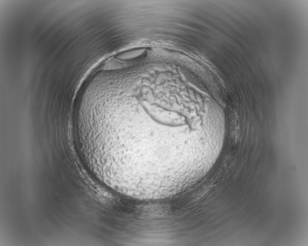 X0000058780896200510171250