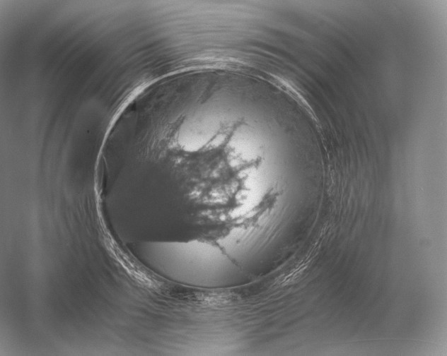 X0000058780899200510171250