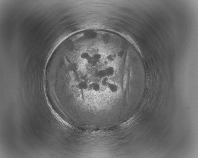 X0000058780903200510171250